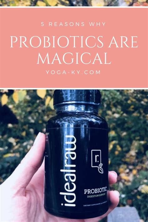 Nare Magic Probiotics: A Natural Strategy for Treating IBS
